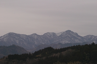 e5639988.jpg