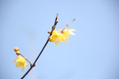 022