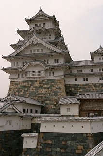 f88647e7.jpg