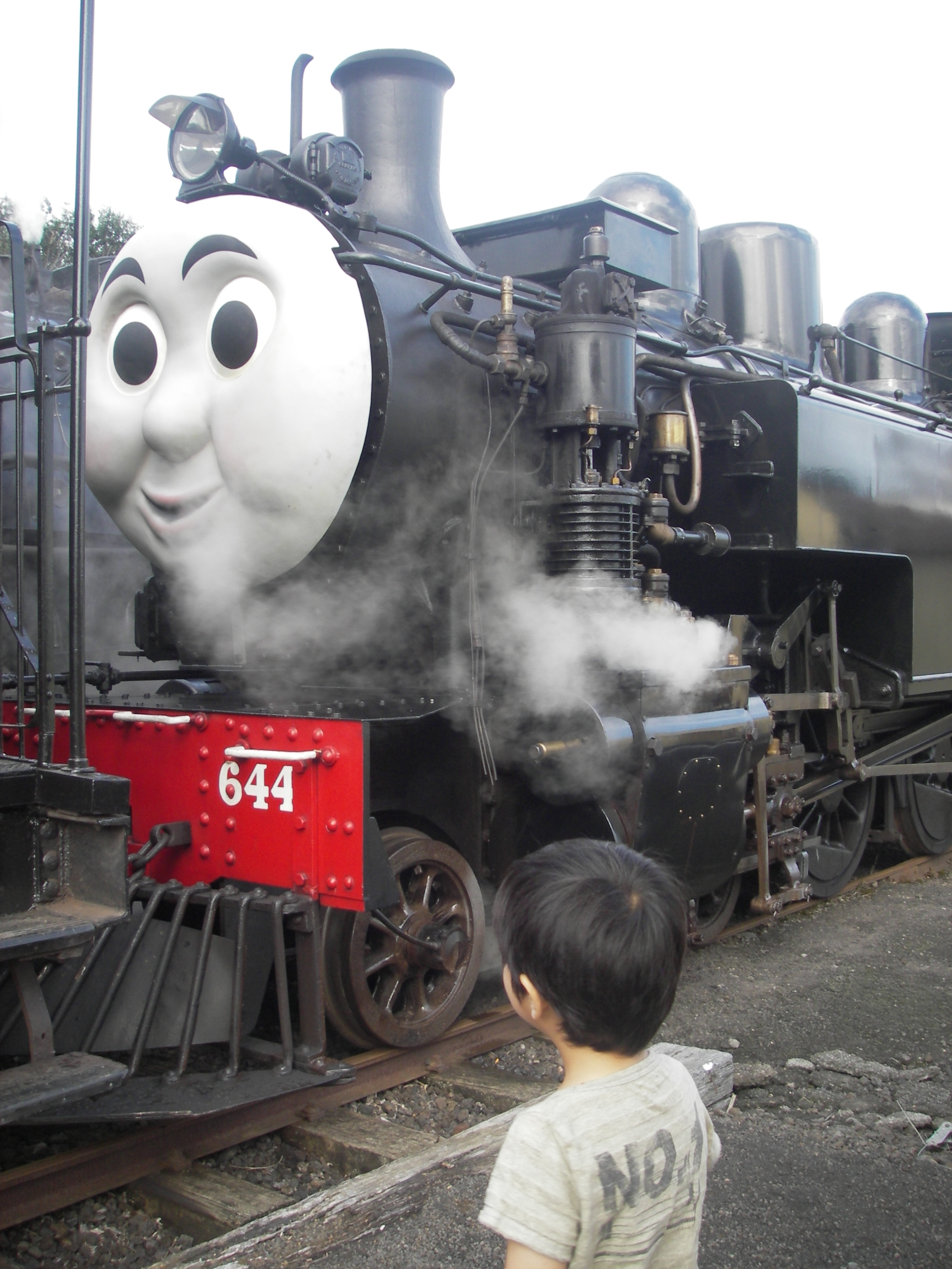 リアル機関車トーマス ニュージーランド移住 子育て日記