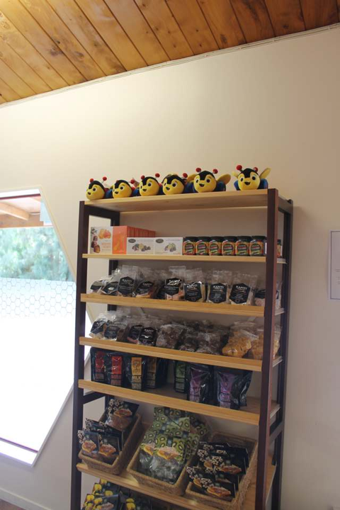 29101116_1631755243573956_2153641973972467712_n