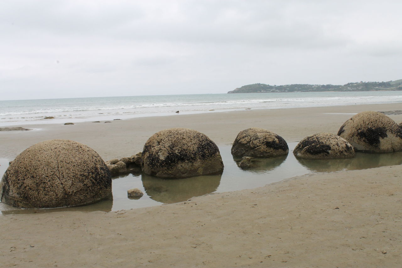 ニュージーランドの謎の奇岩 Moeraki Boulders モエラキ ボルダーズ ニュージーランドの達人