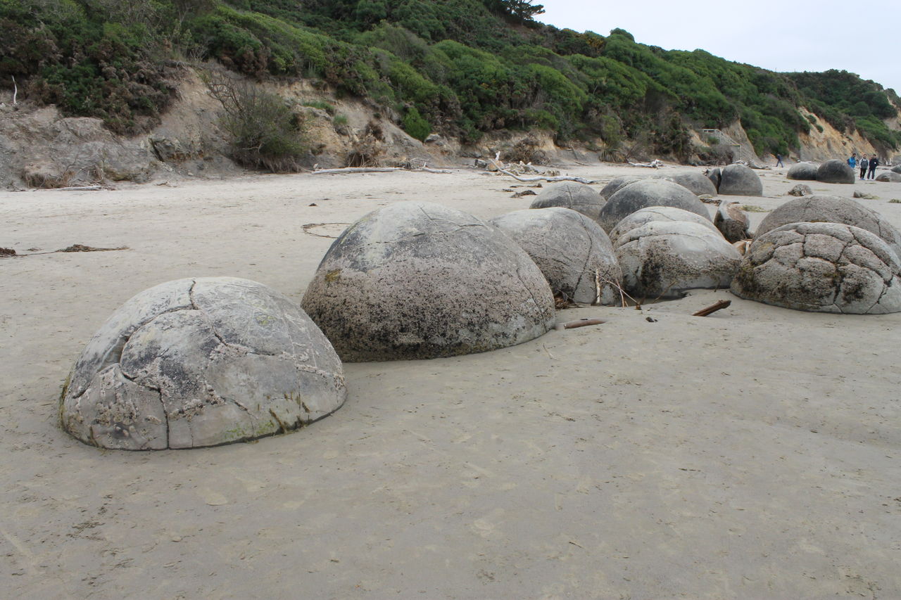 ニュージーランドの謎の奇岩 Moeraki Boulders モエラキ ボルダーズ ニュージーランドの達人 ニュージーランドの謎の奇岩 Moeraki Boulders モエラキ ボルダーズ ニュージーランドの達人