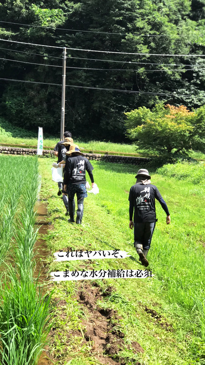3776CDB3-B200-4645-A648-936EA2B59FC7