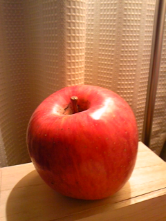 DVC00003