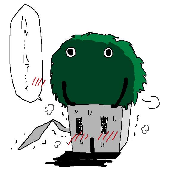 20120414073139_114_1