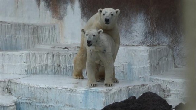 img20130304175153012