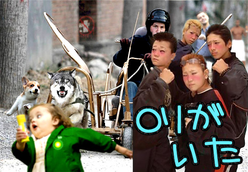 20120116100729_154_1