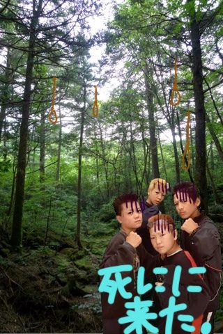 20120116100729_238_1