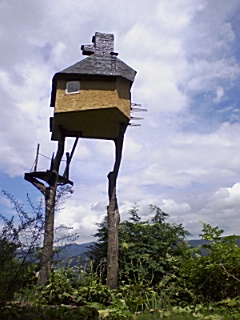 20100715140013_15_1