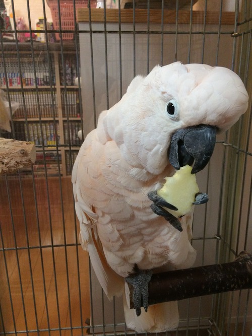 CBE61FC4-E1BB-4377-9DD7-51F496318ED2