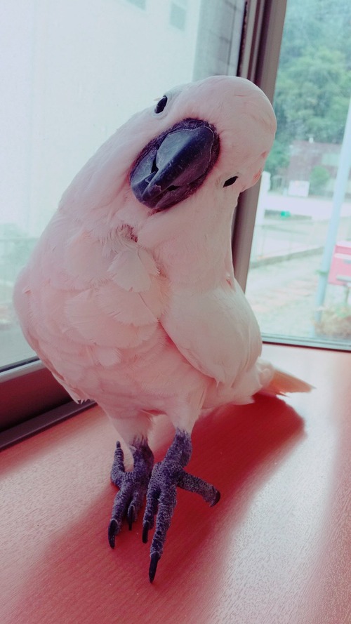 6937476B-BD6F-4EA1-9E0D-843ACCBBD8AB