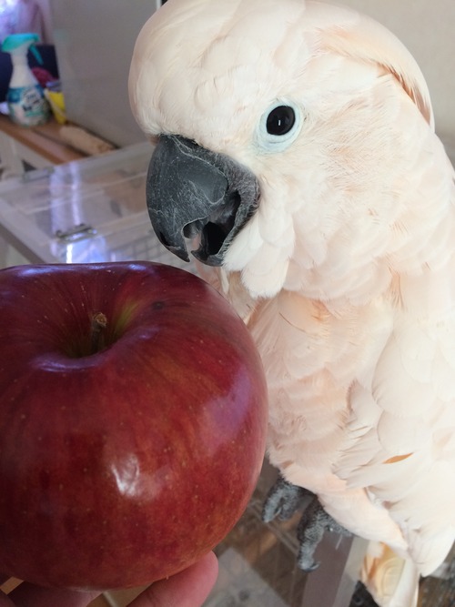 FC8AB75A-105C-4992-9824-6BC601D0B2CB