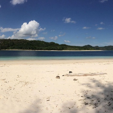 どっかの島