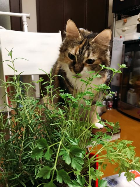 94839196-32A2-4628-8C47-D941BC189425