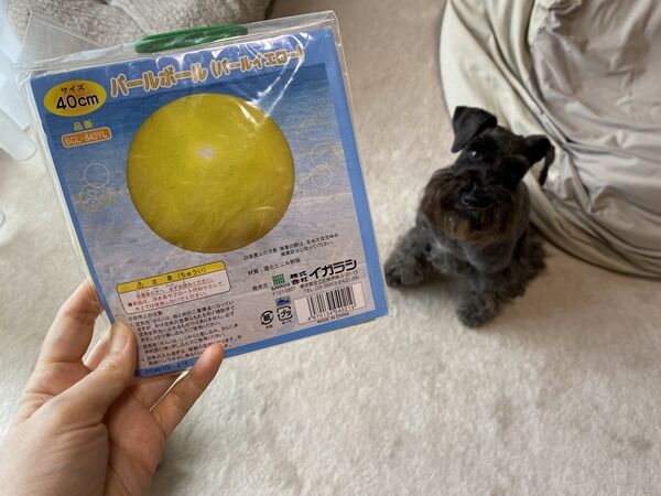 ボール遊びが大好きなオーチャン オーチャンネル