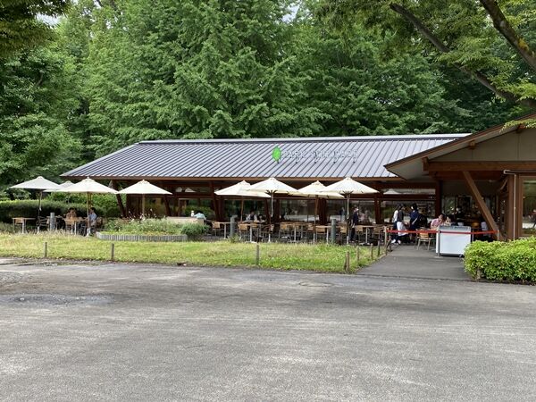 上野 パークサイドカフェでランチからのアメ横 蔵前 両国散歩 オーチャンネル