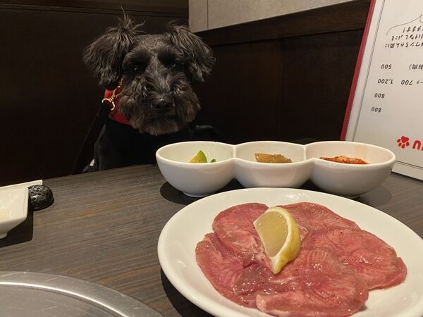 浅草 焼肉ちゃっぴーで焼肉ランチとロング散歩 オーチャンネル 浅草 焼肉ちゃっぴーで焼肉ランチとロング散歩 オーチャンネル