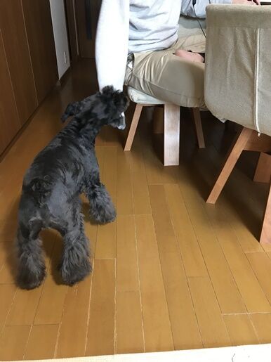 テレワーク なんのこっちゃ オーチャンネル テレワーク なんのこっちゃ オーチャンネル