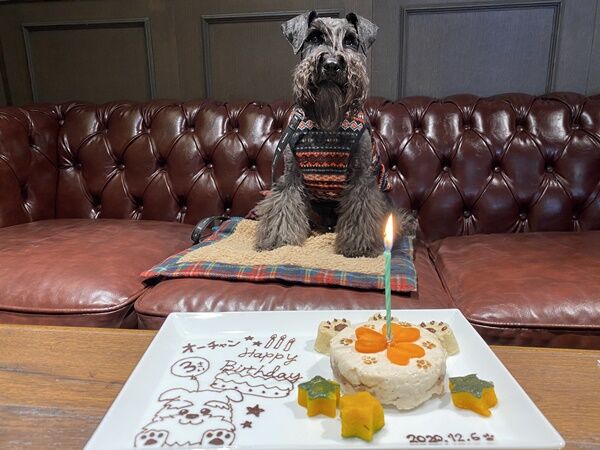 オーチャン３歳になりました Z オーチャンネル