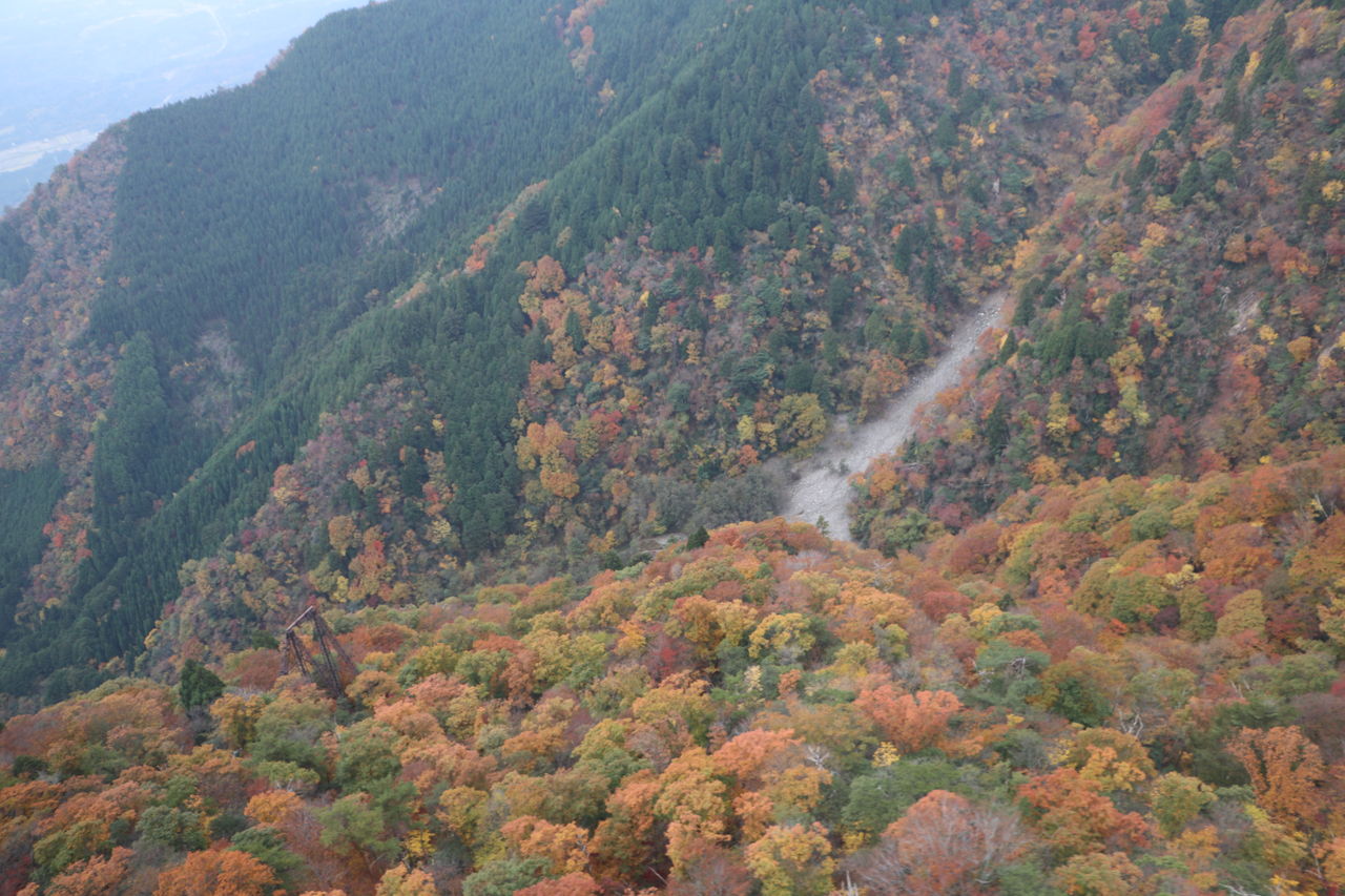 紅葉と言ったら琵琶湖バレイは行くべきでしょう 琵琶湖だけじゃない滋賀県散策blog 紅葉と言ったら琵琶湖バレイは行くべきでしょう 琵琶湖だけじゃない滋賀県散策blog