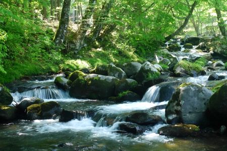不思議な話ナマズに助けられた