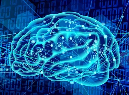 死者の脳から記憶を取り出すことが可能に