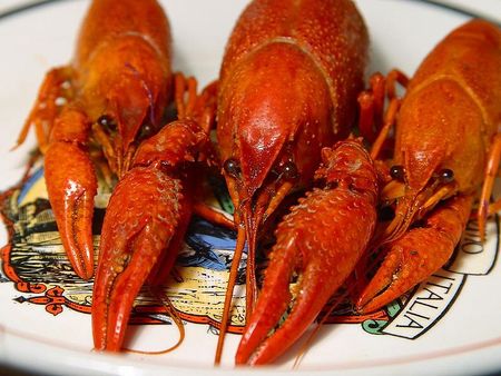 アメリカザリガニの食べ方