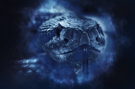 rattlesnake-1892417_640