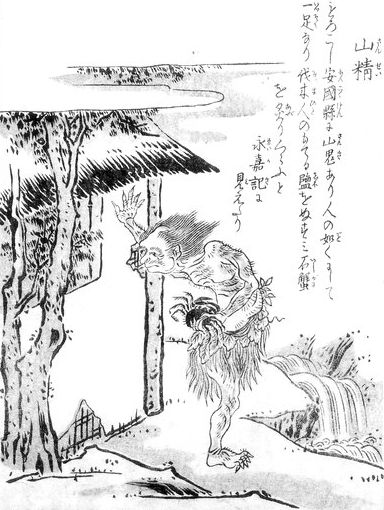 山精