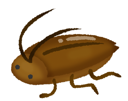 cockroach