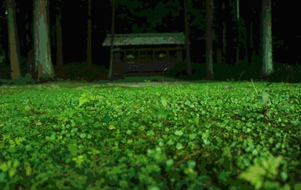 神様を見た人