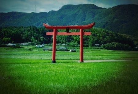 田んぼ神社
