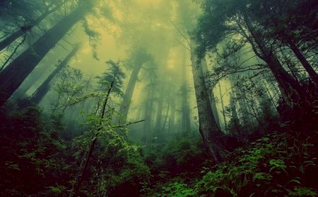 山での“謎”体験