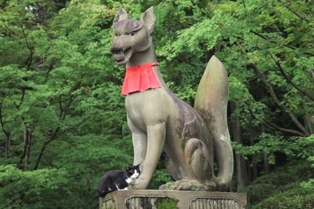 神様が泣く不思議な話