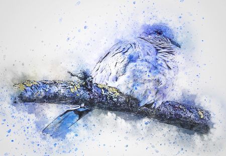 動物に憑依されるキジバトのハトマン