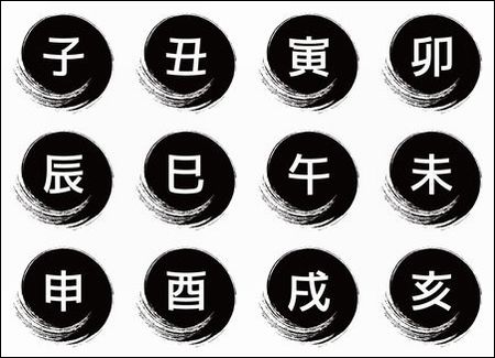 干支の動物猫