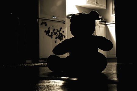 家にナニカがいる恐怖体験