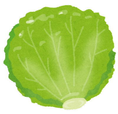 food_lettuce