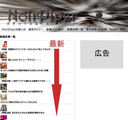 新着記事一覧 -NoirPiper (20130428)