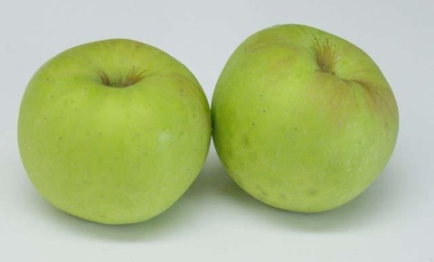 ネットでiPhoneを２機購入した女性、箱を開けてびっくり…中から出てきたのはリンゴが２個