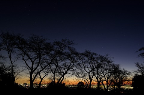 撮ったらすぐにスマホに転送。便利になったWiFi SDカード一枚どう？