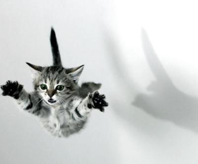 「まるでネコ」アップル、iPhoneが落下を感知し回転してダメージを軽減する特許を申請