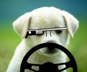 グーグル・グラス装着での自動車運転、裁判所で違反切符無効に