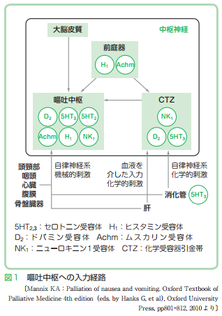 嘔吐中枢への入力経路