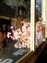 お花見