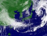 himawari