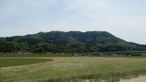 DSCN4482