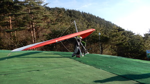 DSCN7557