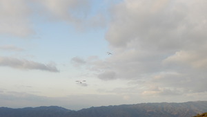 ED3473B1-61D0-4B4E-854A-40BEEA277B55_1_105_c